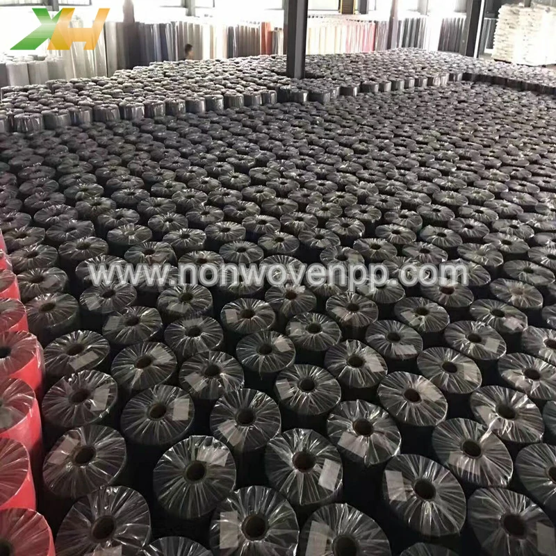 non woven polypropylene roll